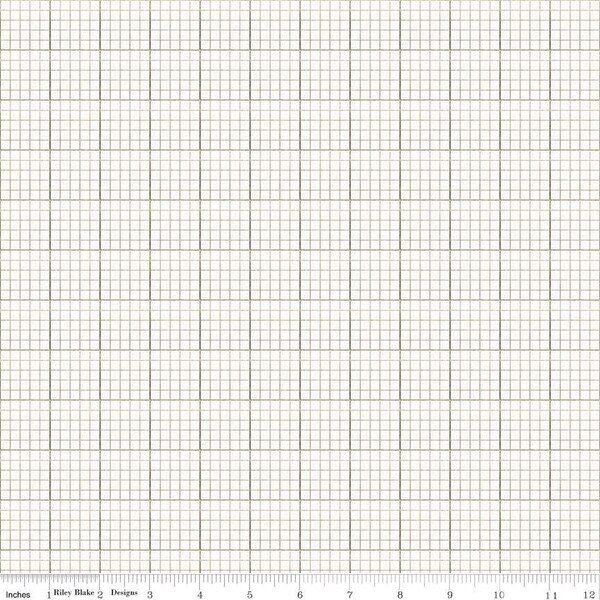 Graph Paper in Gray