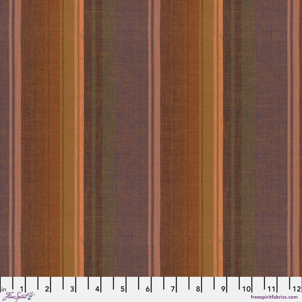 Exotic Stripe in Desert