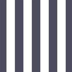 Play Stripe in Ink