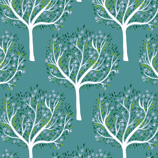 Forest Trees in Glade