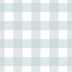 Large Gingham in Soft Sky