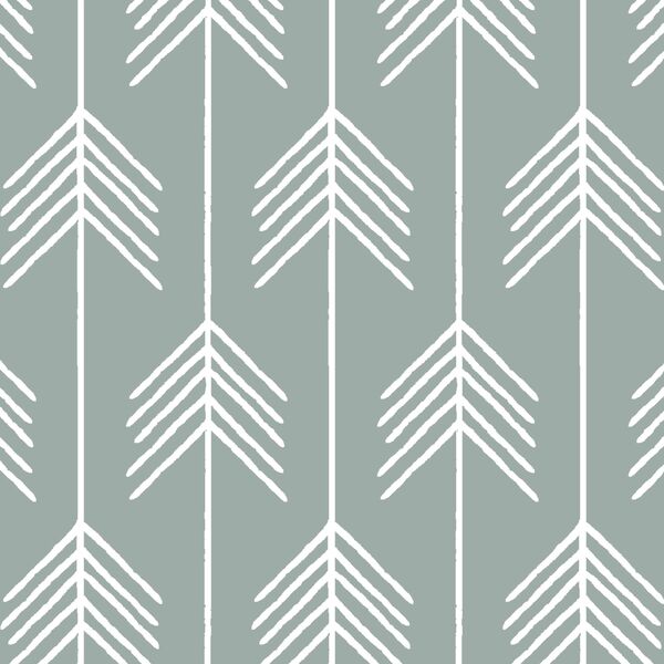 Vanes in Eucalyptus