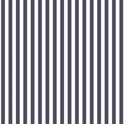 Dress Stripe in Ink