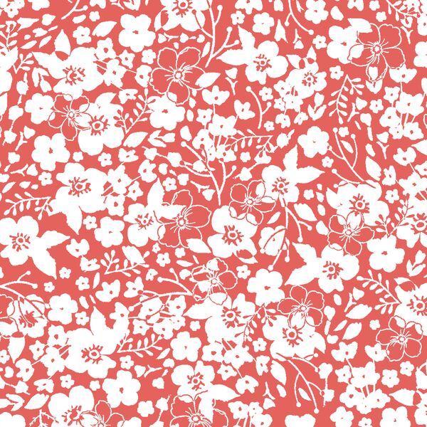 Forget Me Not in Salmon