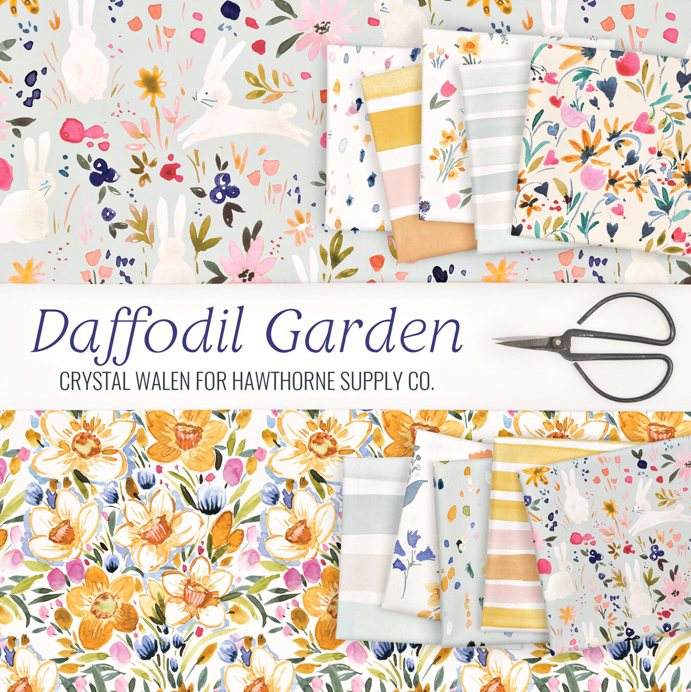 Daffodil Garden Poster Image