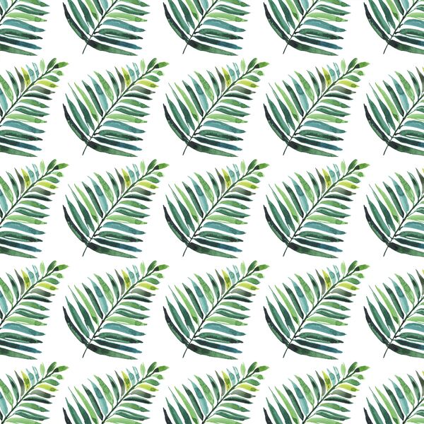 Palm Leaves in White