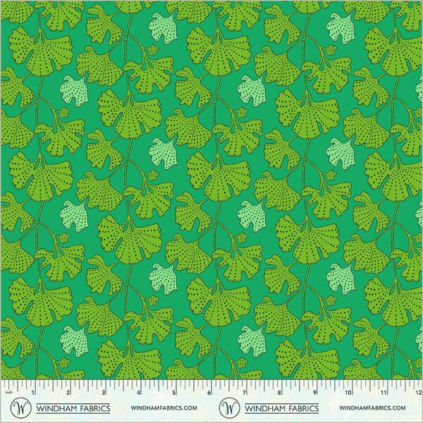 Ginkgo in Kelly