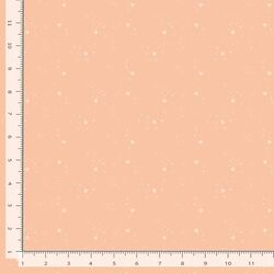Kitty Litter Blender in Cantaloupe