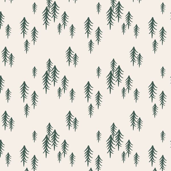 Winter Forest in Spruce