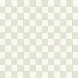 Textured Check in Cloud