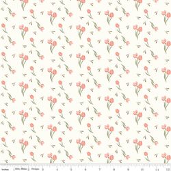 Tulips in Cream