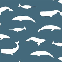 Whale Silhouette in Lake