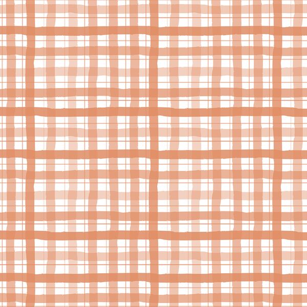 Gingham in Peppermint