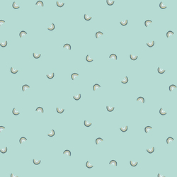 Always Look For Rainbows in Hint Of Mint