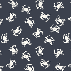 Crabs in Space Navy