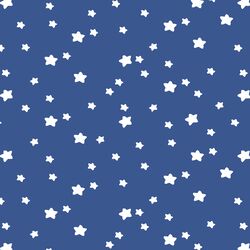 Star Light in Blue Jay