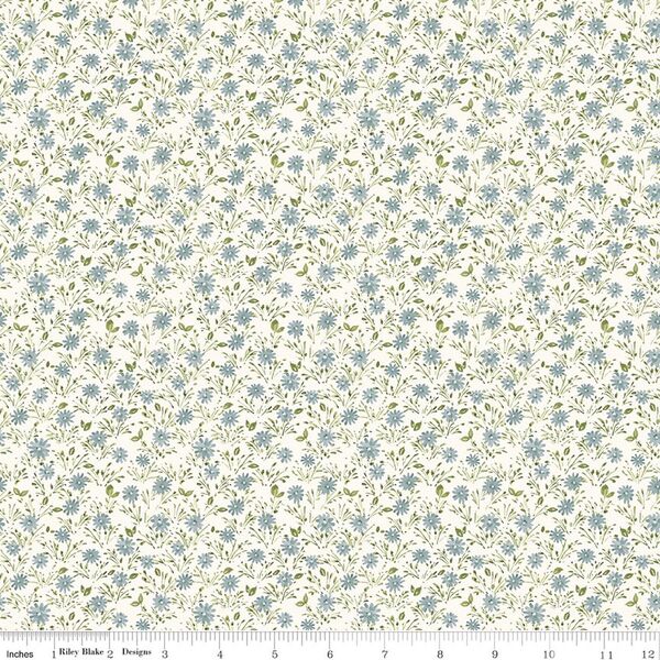 Daisies in Dream