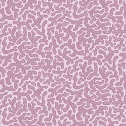 Coral Chorale in Sands