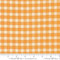 Baby Check in Orange