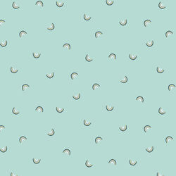 Always Look For Rainbows in Hint Of Mint