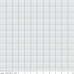 Graph Paper in Blue