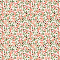 Rosa in Rose