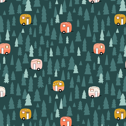 Camping Under The Stars in Midnight