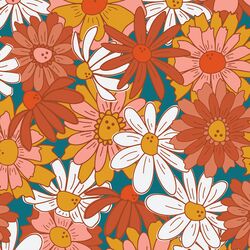 Large Blooming Daisies in Rainbow