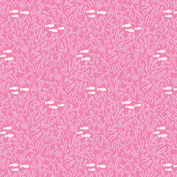 Swimming through Coral in Hibiscus