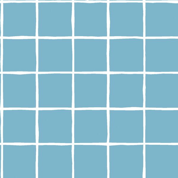 Windowpane in Surf