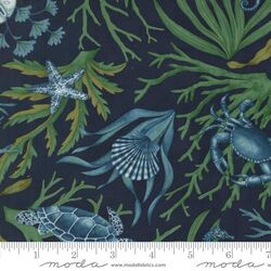 Coastal All Over in Deep Sea