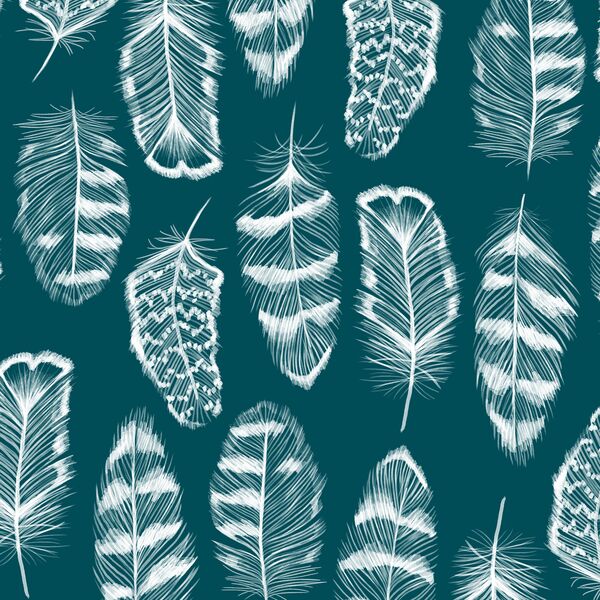 Plume in Juniper