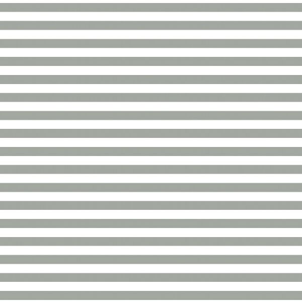 Horizontal Dress Stripe in Sage
