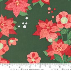 Poinsettia in Pine