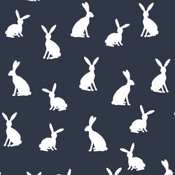 Cottontail Silhouette in Eclipse