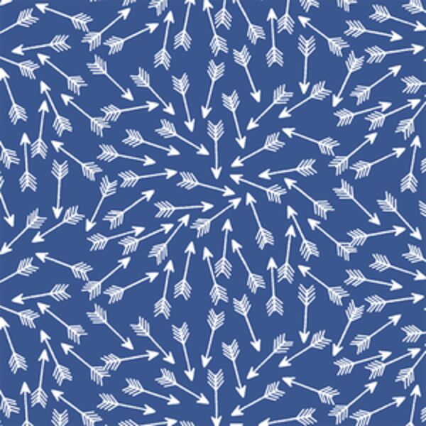 Arrows in Blue Jay