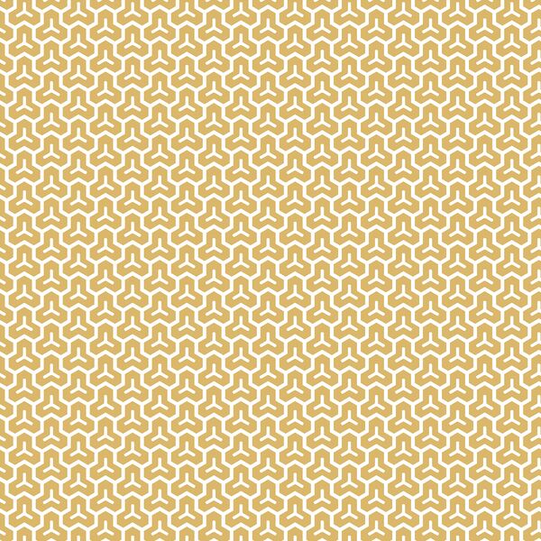 Honeycomb in Sunlight