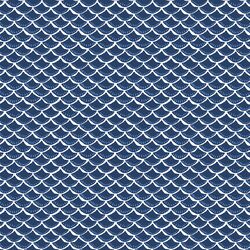 Scallop in Deep Ocean