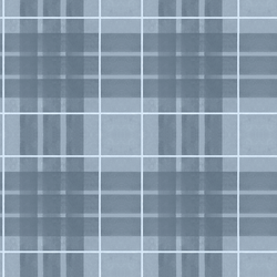 Zoo Plaid in Pond Blue