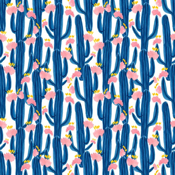 Cactus Dreams in Sonoran