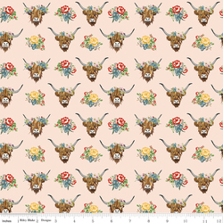 Highland Cows in Blush