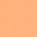 Bella Solids in Apricot