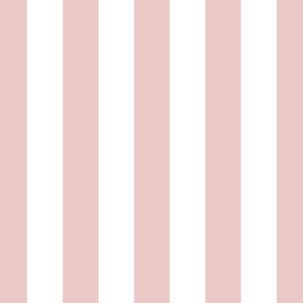 Play Stripe in Blush