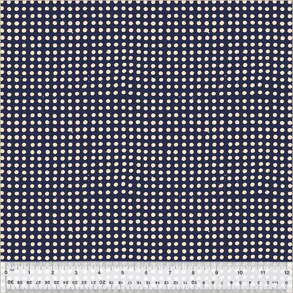 Dots in Night Sky