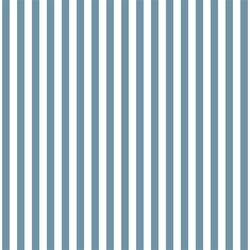 Dress Stripe in Marine