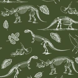 Fossils in Olive Green