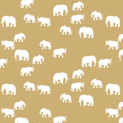 Elephant Silhouette in Golden Canyon