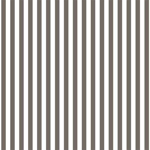 Dress Stripe in Stone
