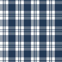 Spring Plaid in Navy