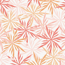 Parasols in Sunkissed